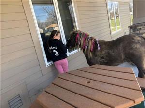 girls with pony 